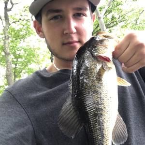 Meet your Posher, Dario